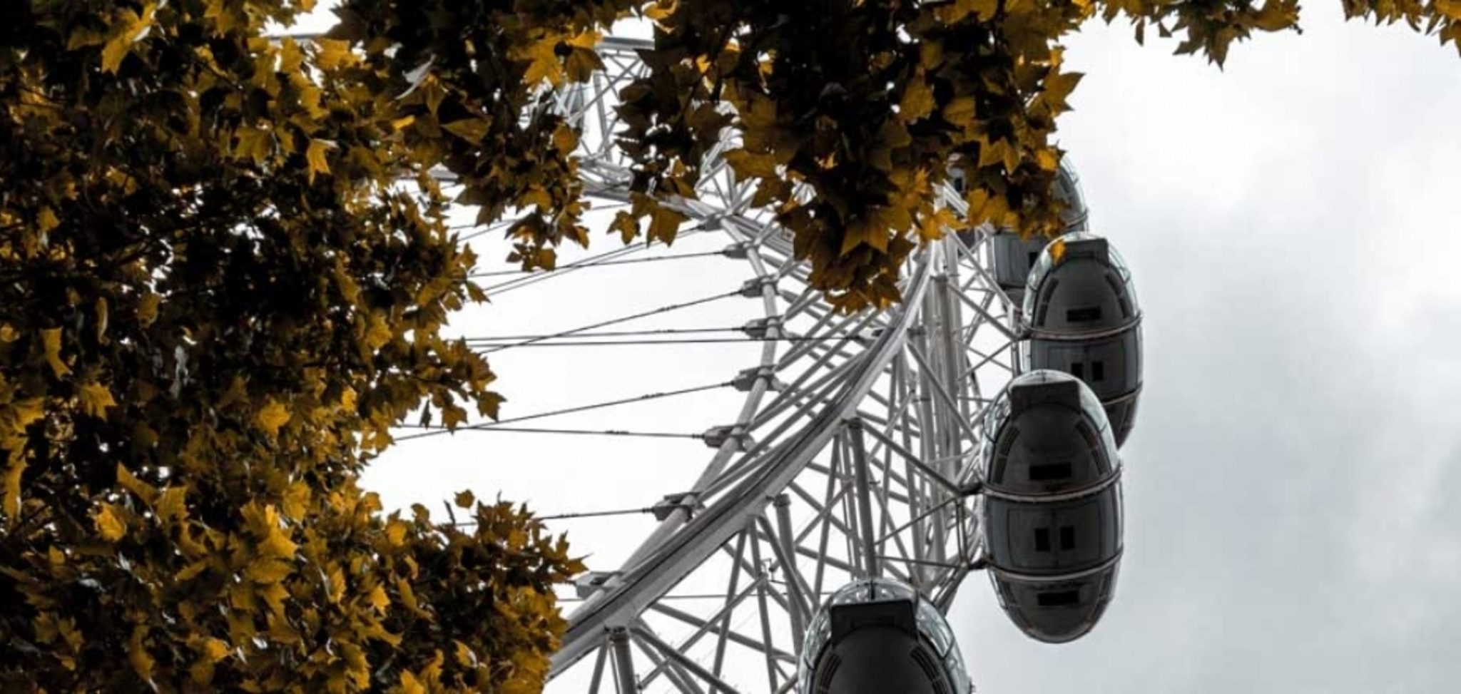 1440_london-eye-looking-up-2-scaled-aspect-ratio-2000-950