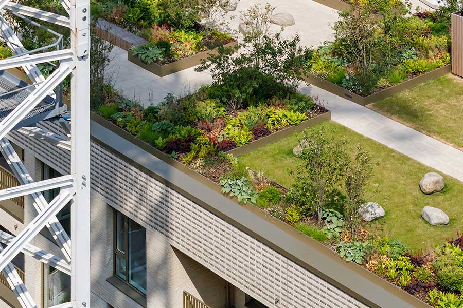 Oval Village roof garden