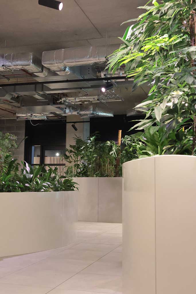 Planters and paving