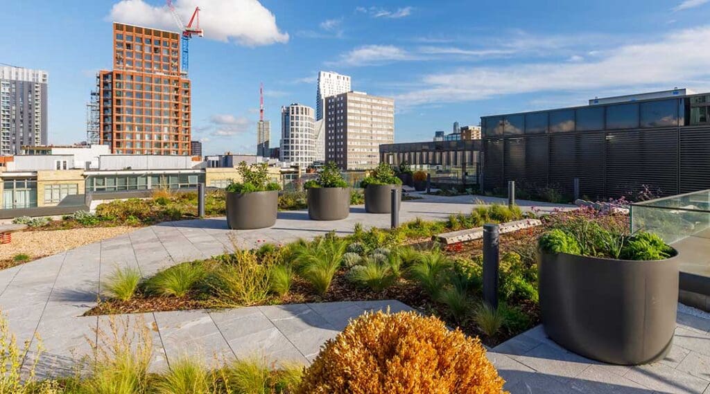 250 City Road rewilded rooftop
