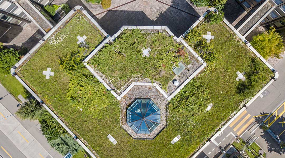 Green Rooftop