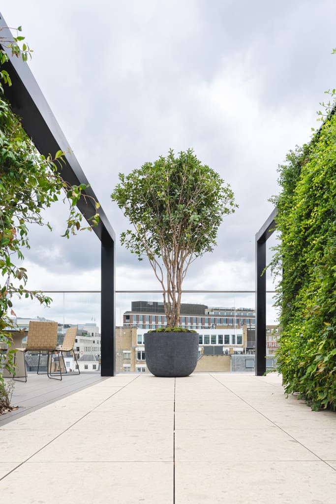 One James Street roof terrace