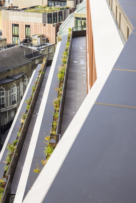 334 Oxford Street roof terrace