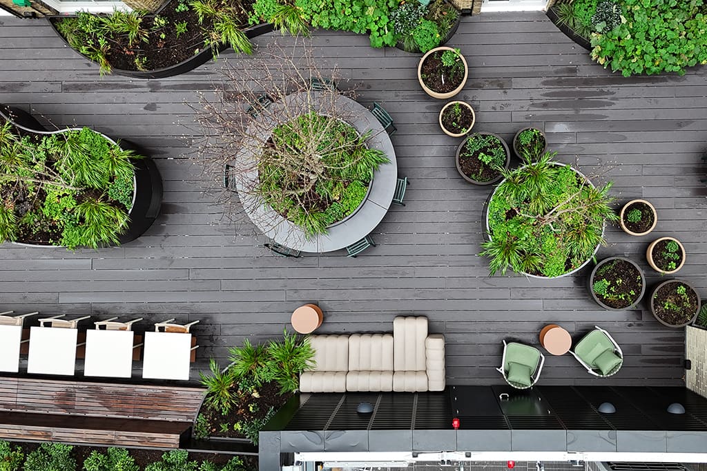 Egyptian & Dudley House birds-eye