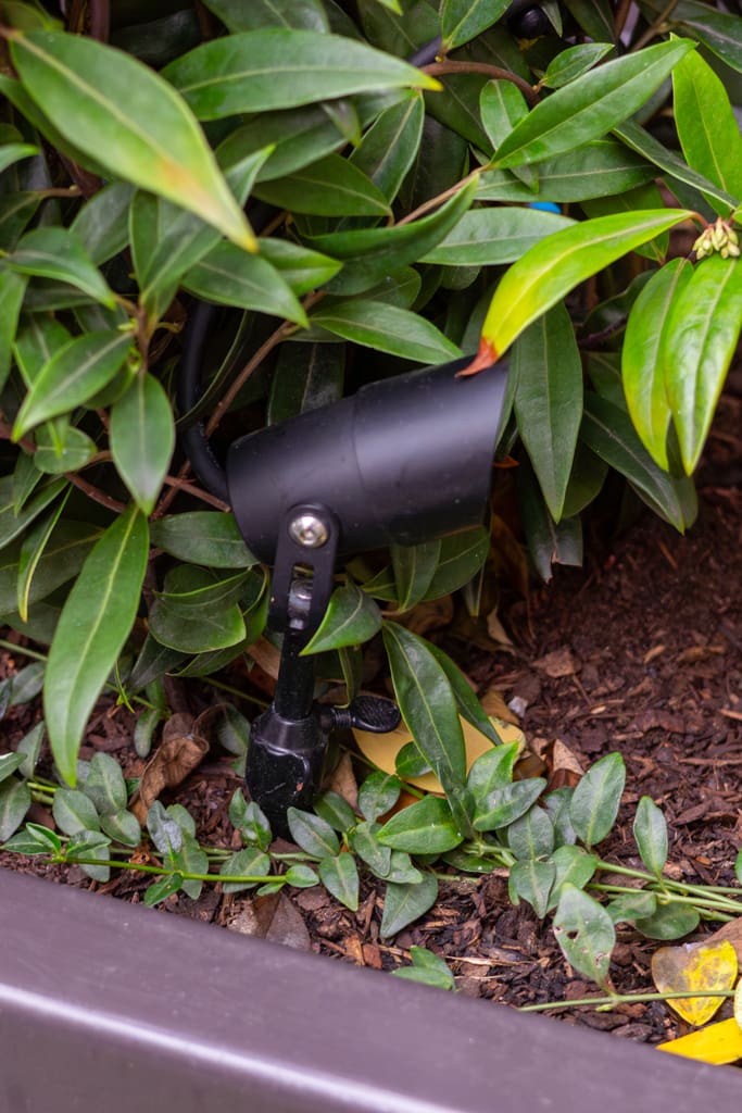 Egyptian & Dudley House planters close-up