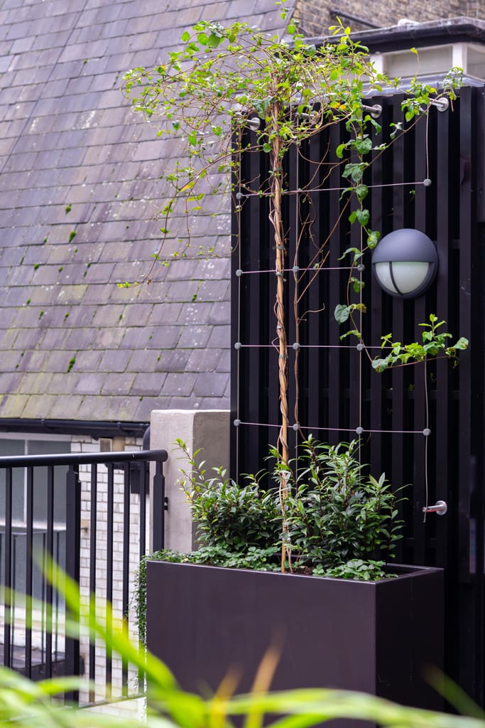 Egyptian & Dudley House close-up