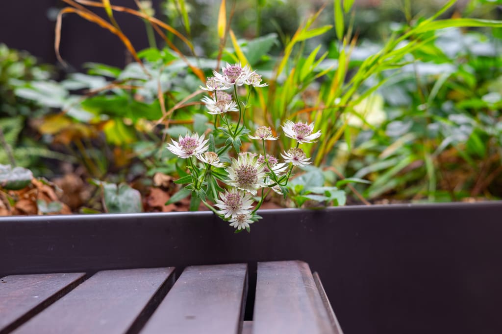 Egyptian & Dudley House planters close-up