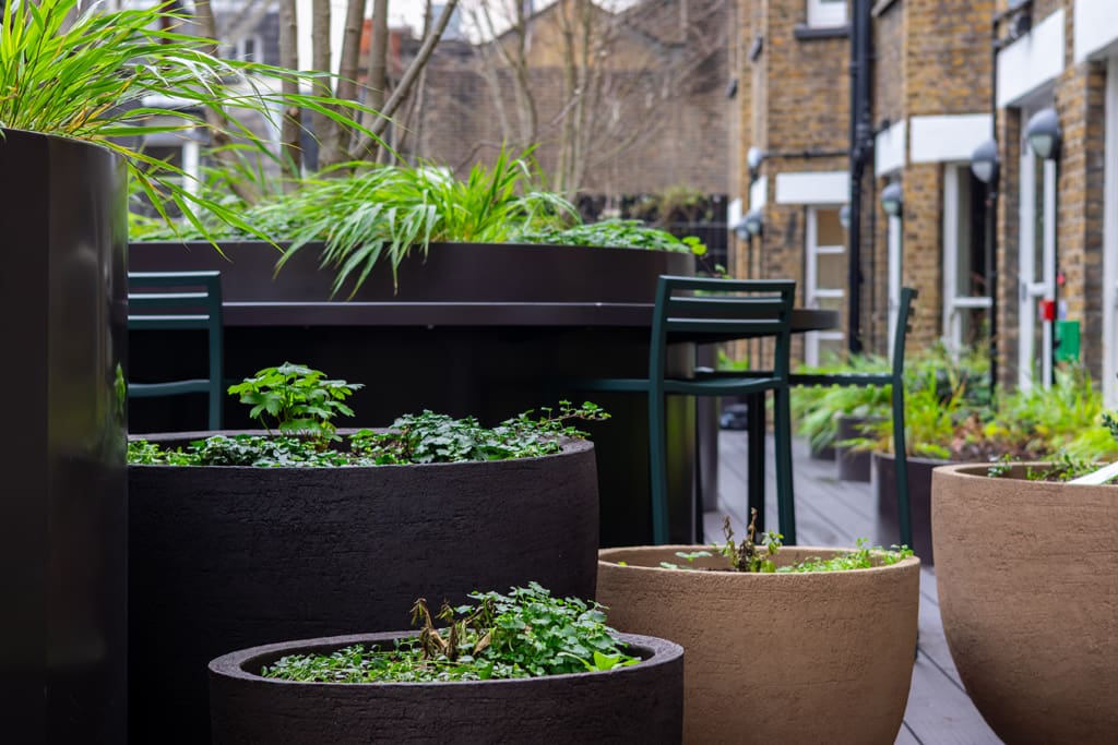 Egyptian & Dudley House planters