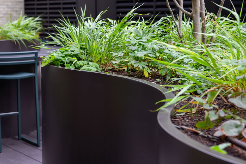 Egyptian & Dudley House planter close-up