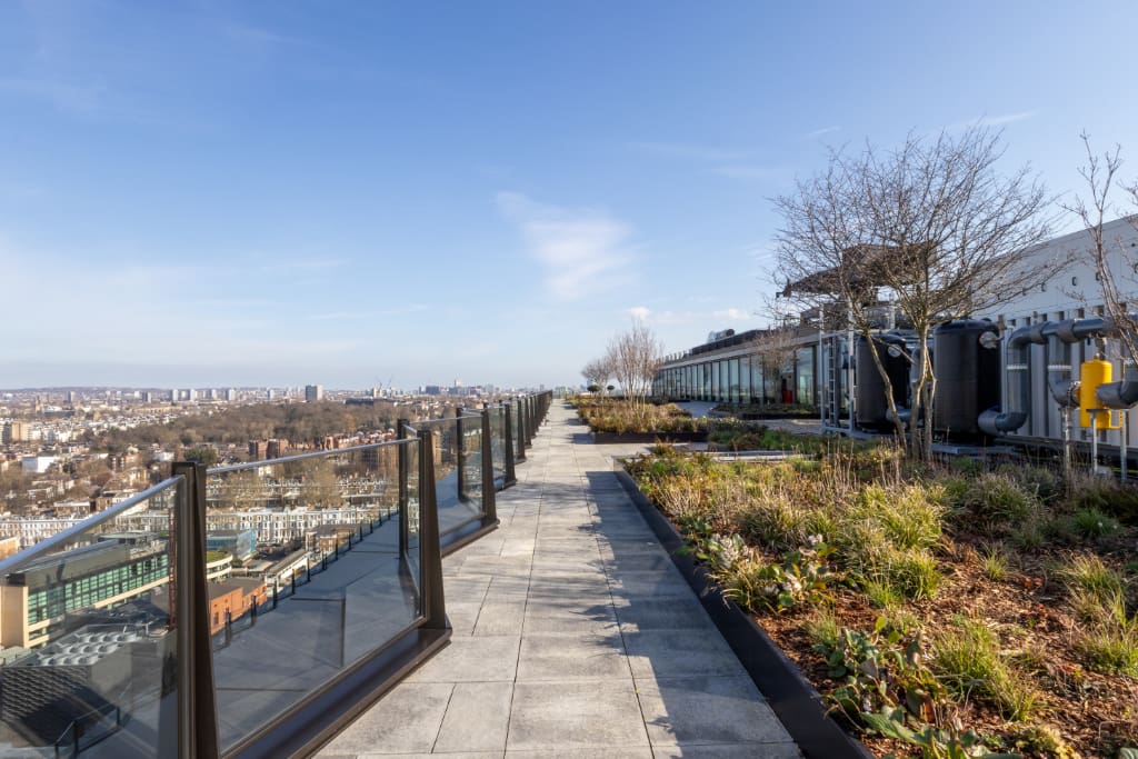 Paved roof terrace