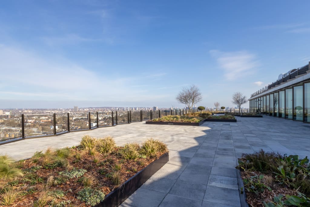 Paved roof terrace