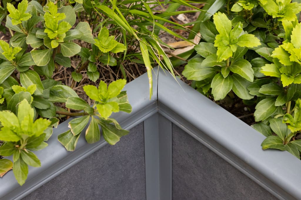 Eiger Planter Trim close-up