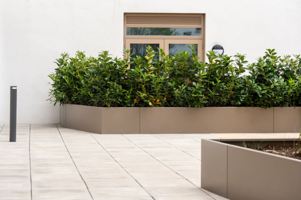 Planters on paving