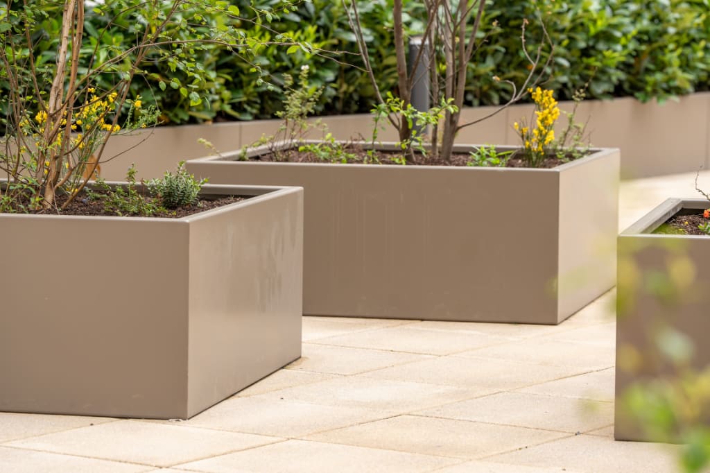 Planters on paving