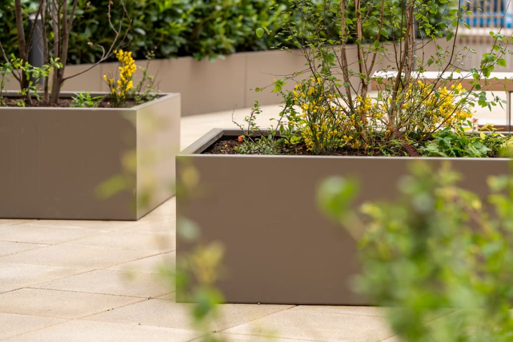 Planters on paving