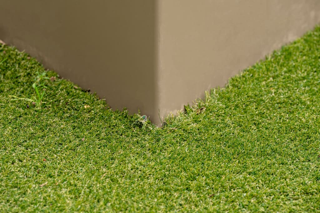 Artificial grass close-up