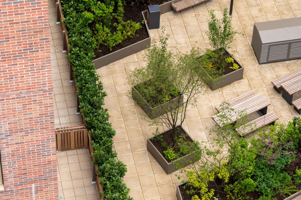 Planters, benches, and paving