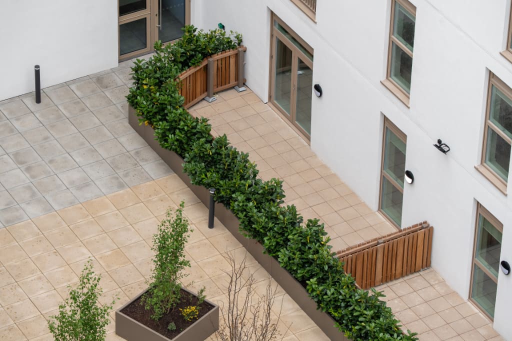 Planters and paving