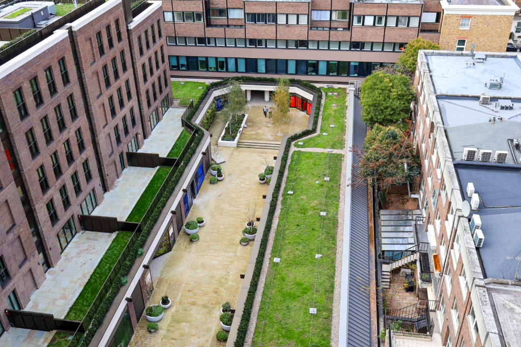 Paved courtyard
