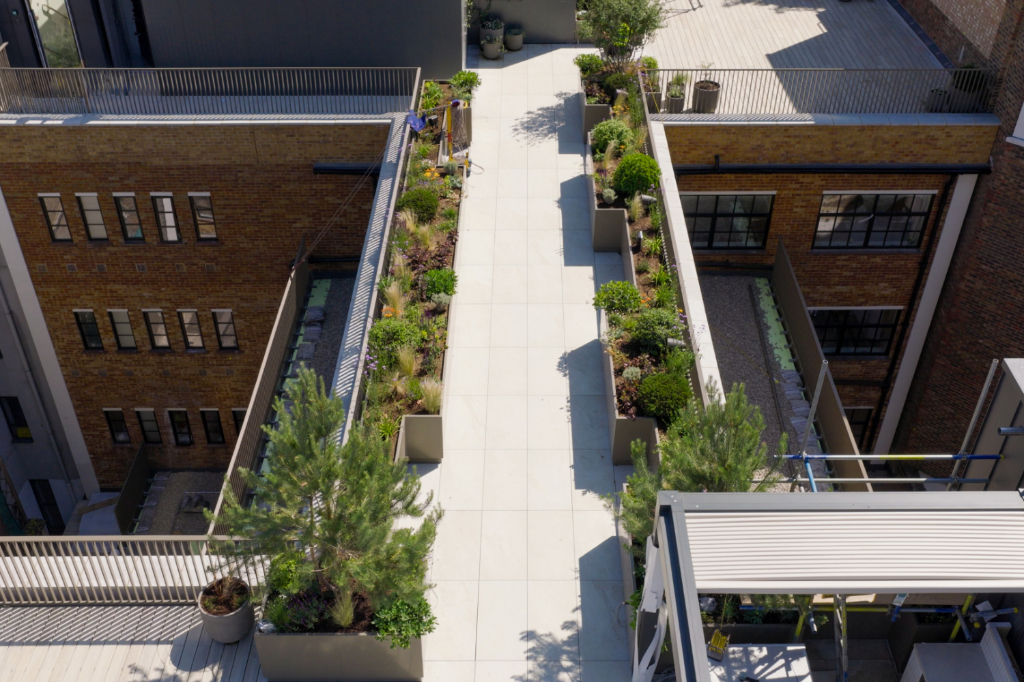 Paved rooftop walkway with planters