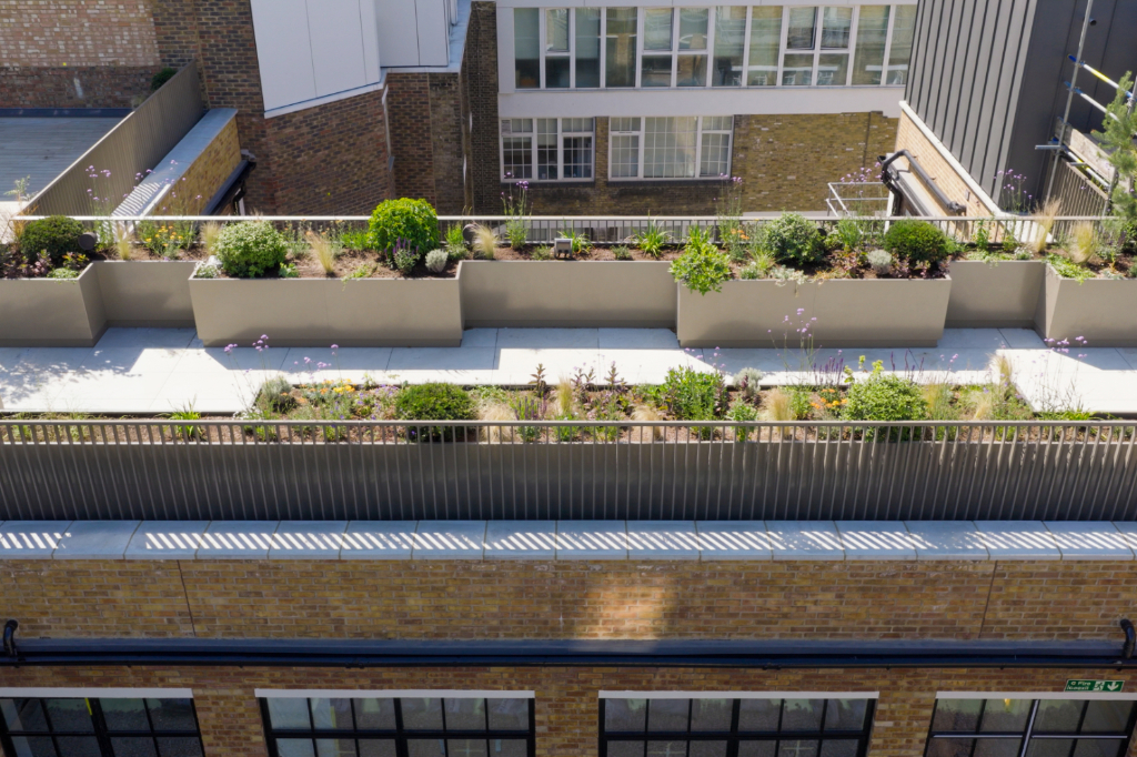 Paved rooftop walkway with planters