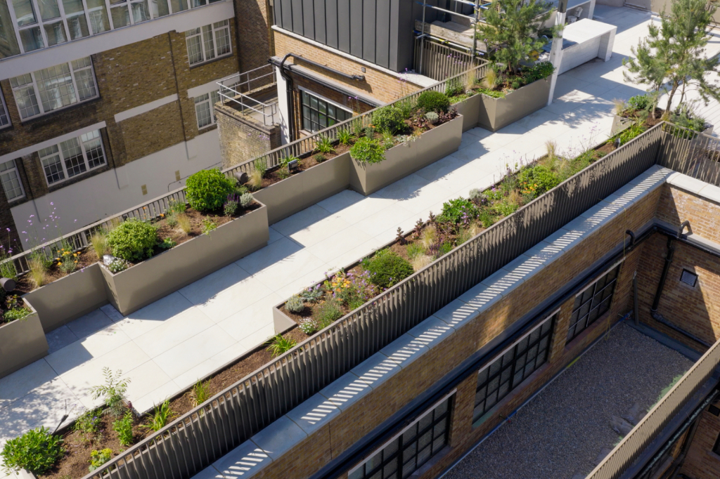Paved rooftop walkway with planters
