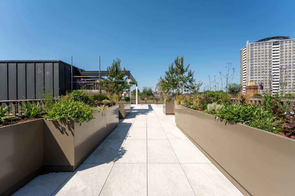 Paved rooftop walkway with planters