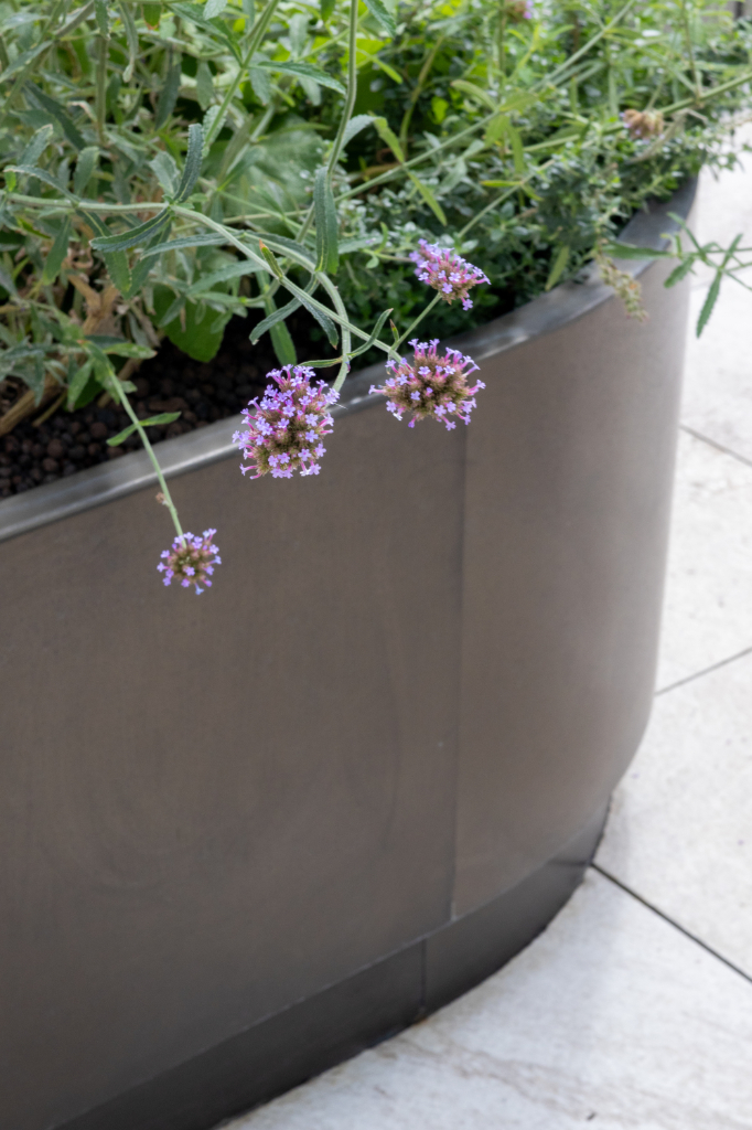 Curved planter close-up