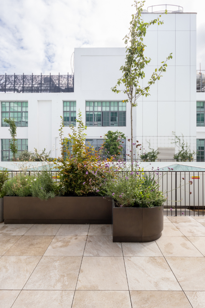 Planter on paved roof terrace