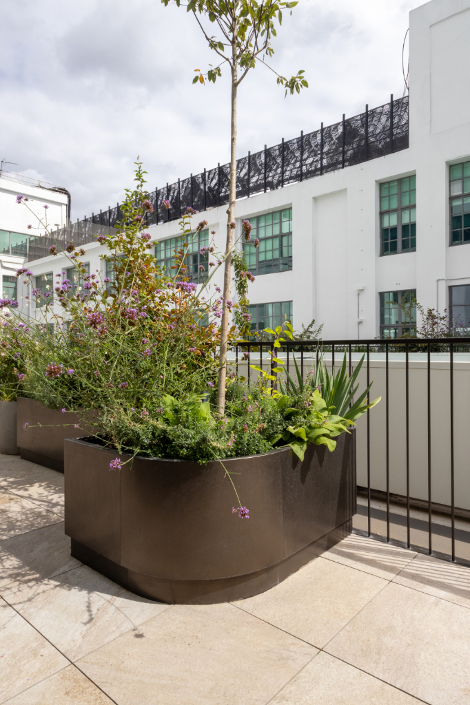 Planter and balustrade on paved roof terrace