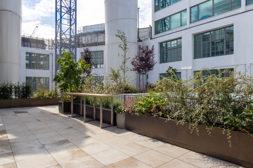 Paved roof terrace and planters