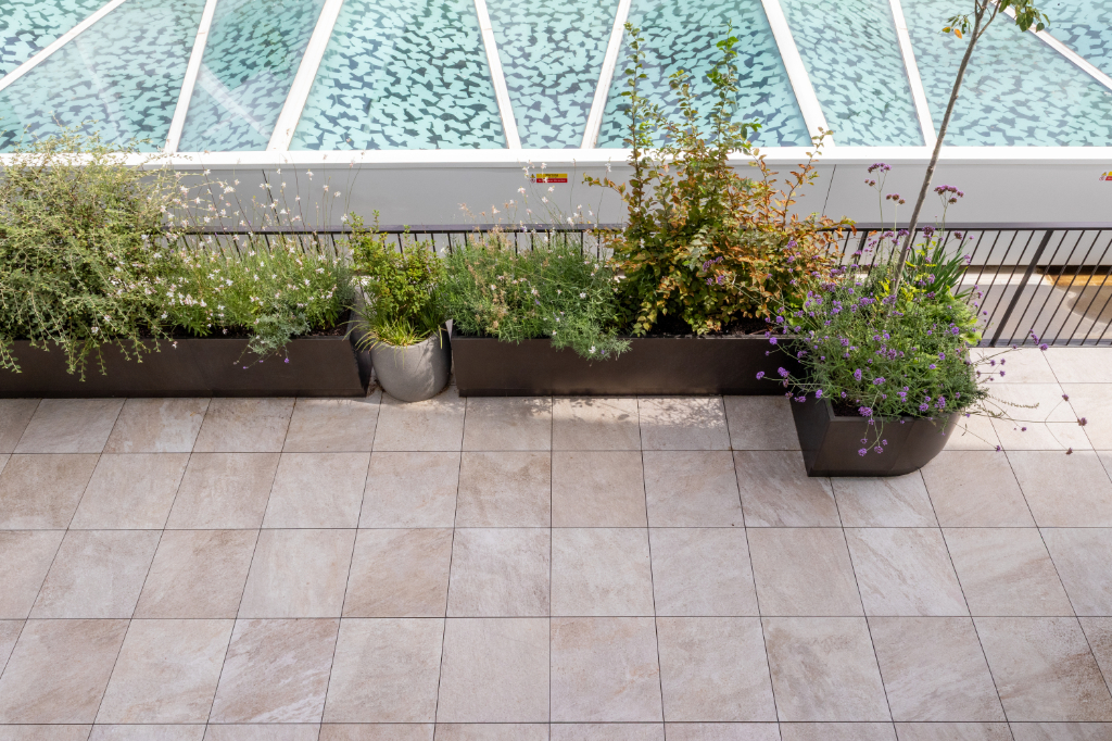 Paved roof terrace and planters