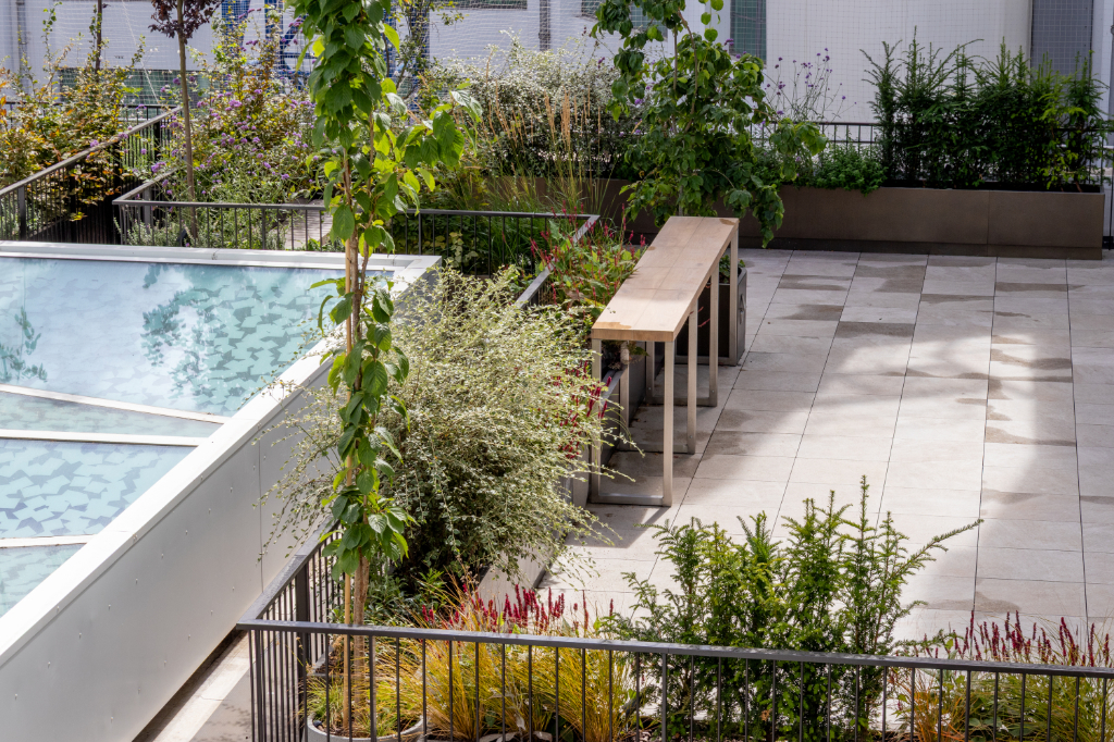 Paved roof terrace and planters